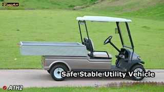 A1H2 Champagne Gold Αυτό το ηλεκτρικό όχημα πολλαπλών χρήσεων προσφέρει ασφάλεια και σταθερότητα,