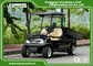 A1H2 Black Cargo Freight Electric Utility Carts battery powered utility vehicles